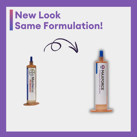 Envu Maxforce textura del gel foco en consistencia y atracción rápida