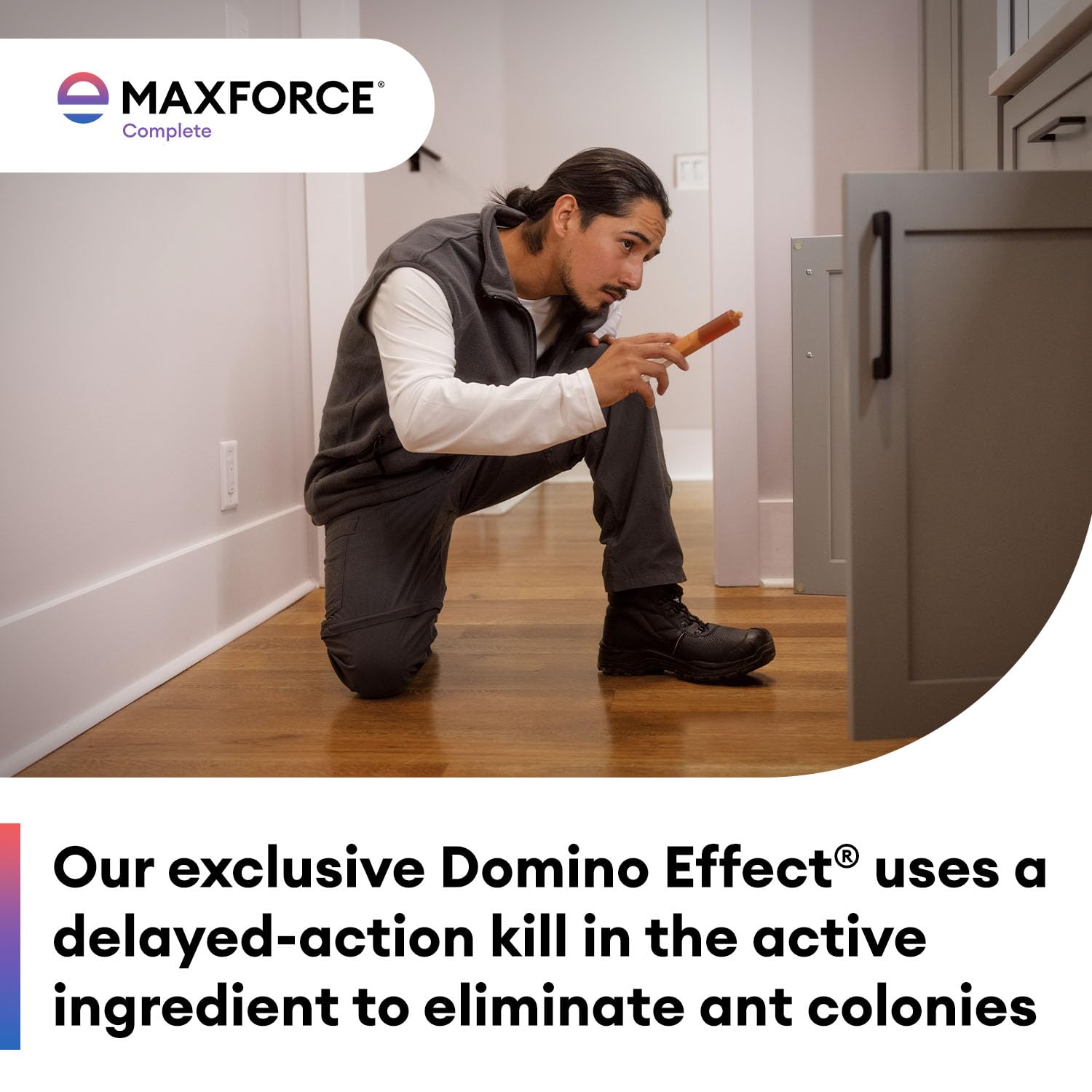 Envu Maxforce aplicado en entrada perimetral para control de hormigas