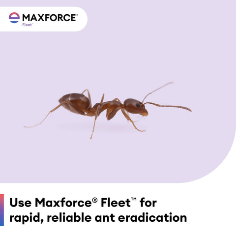 Envu Maxforce Fleet gel paquete con cuatro tubos listo para múltiples aplicaciones