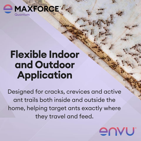 Envu Maxforce Quantum gel cerca de ruta de hormigas favorece trasvase