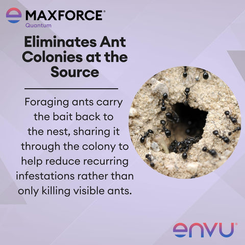 Envu Maxforce Quantum etiqueta con instrucciones claras y advertencias