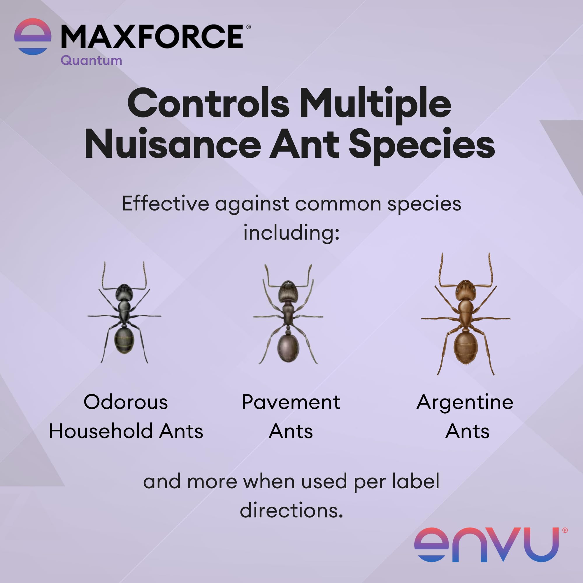 Envu Maxforce Quantum colocado en exterior junto a marco de ventana protector