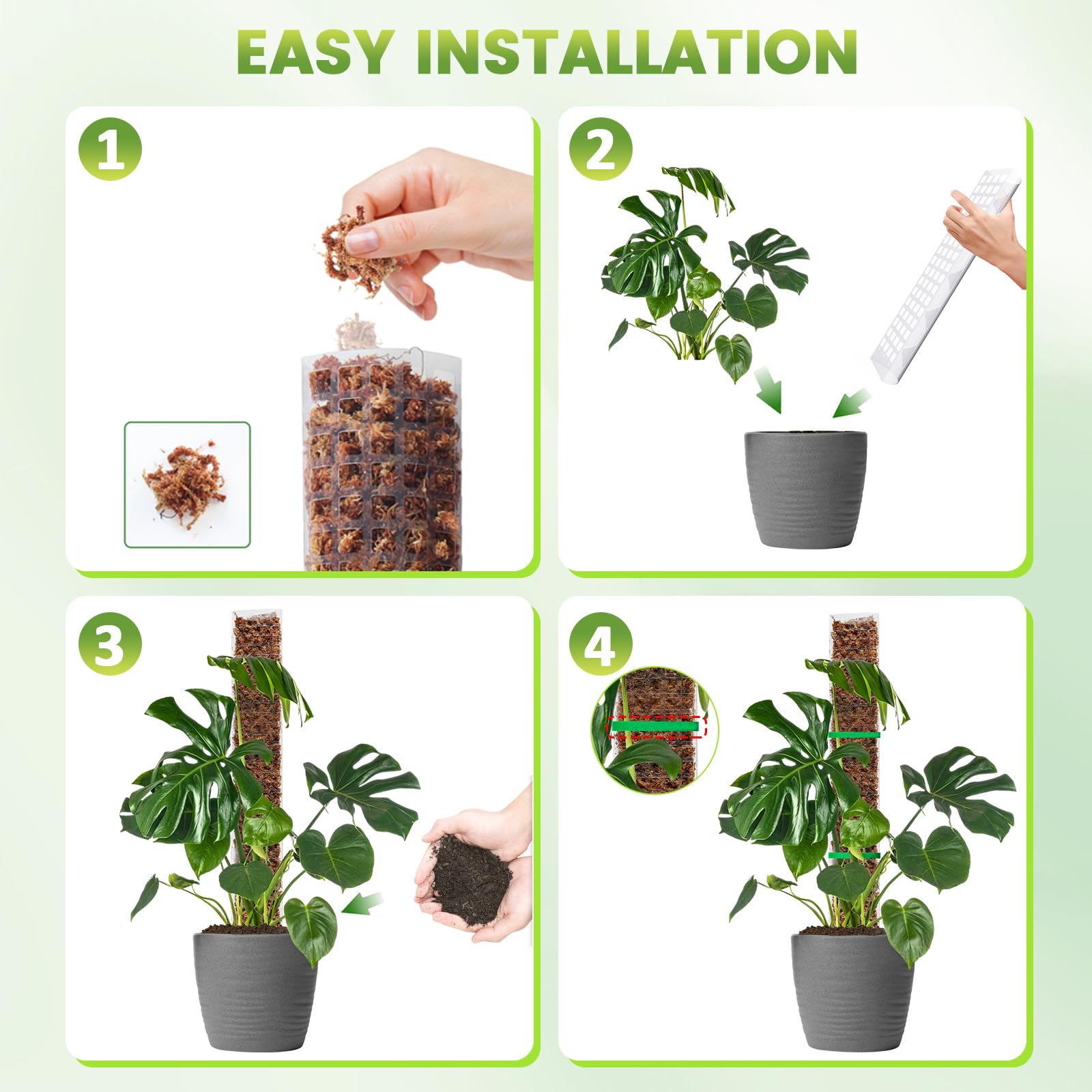 EOX poste rellenado con sphagnum reteniendo humedad para la planta