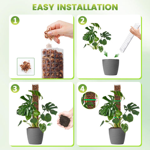EOX poste rellenado con sphagnum reteniendo humedad para la planta