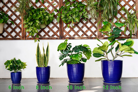 EPFamily maceta integrada en salón creando ambiente acogedor