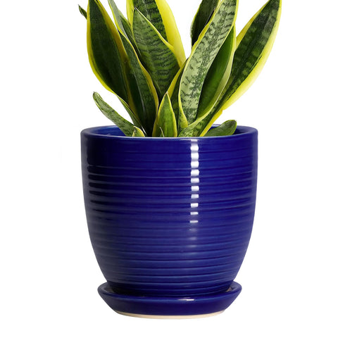 EPFamily maceta cerámica frontal azul brillante para decoración interior