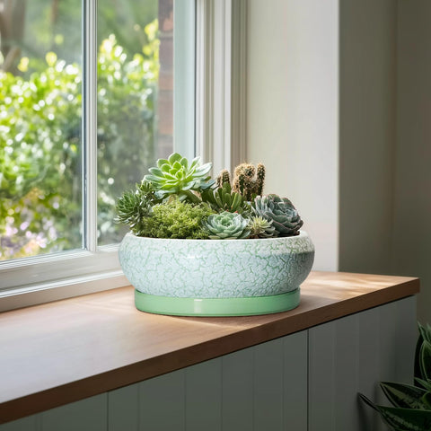 EPFamily maceta con platillo cerámico que protege superficies y recoge agua