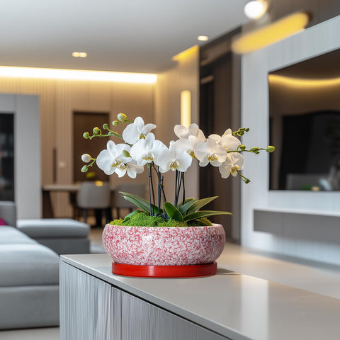 EPFamily maceta con suculenta en interior decoración práctica y estética