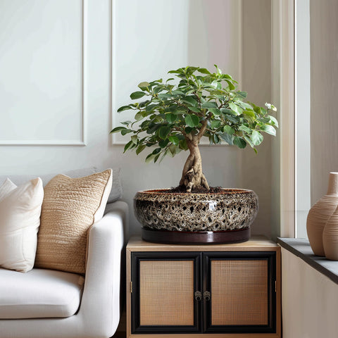 EPFamily maceta en salón mostrando integración decorativa y armonía
