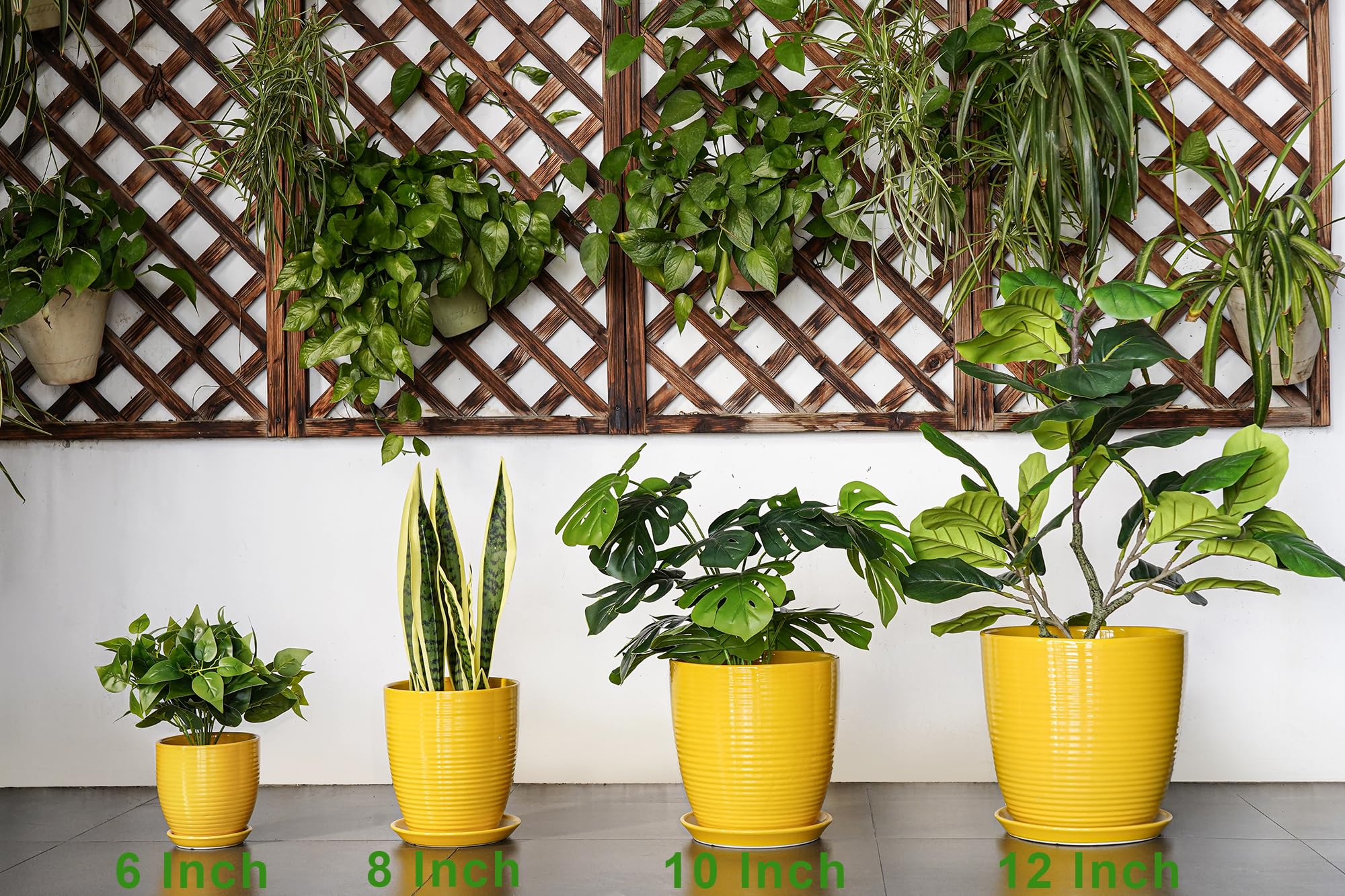 EPFamily maceta empaquetada lista como regalo para amantes de plantas