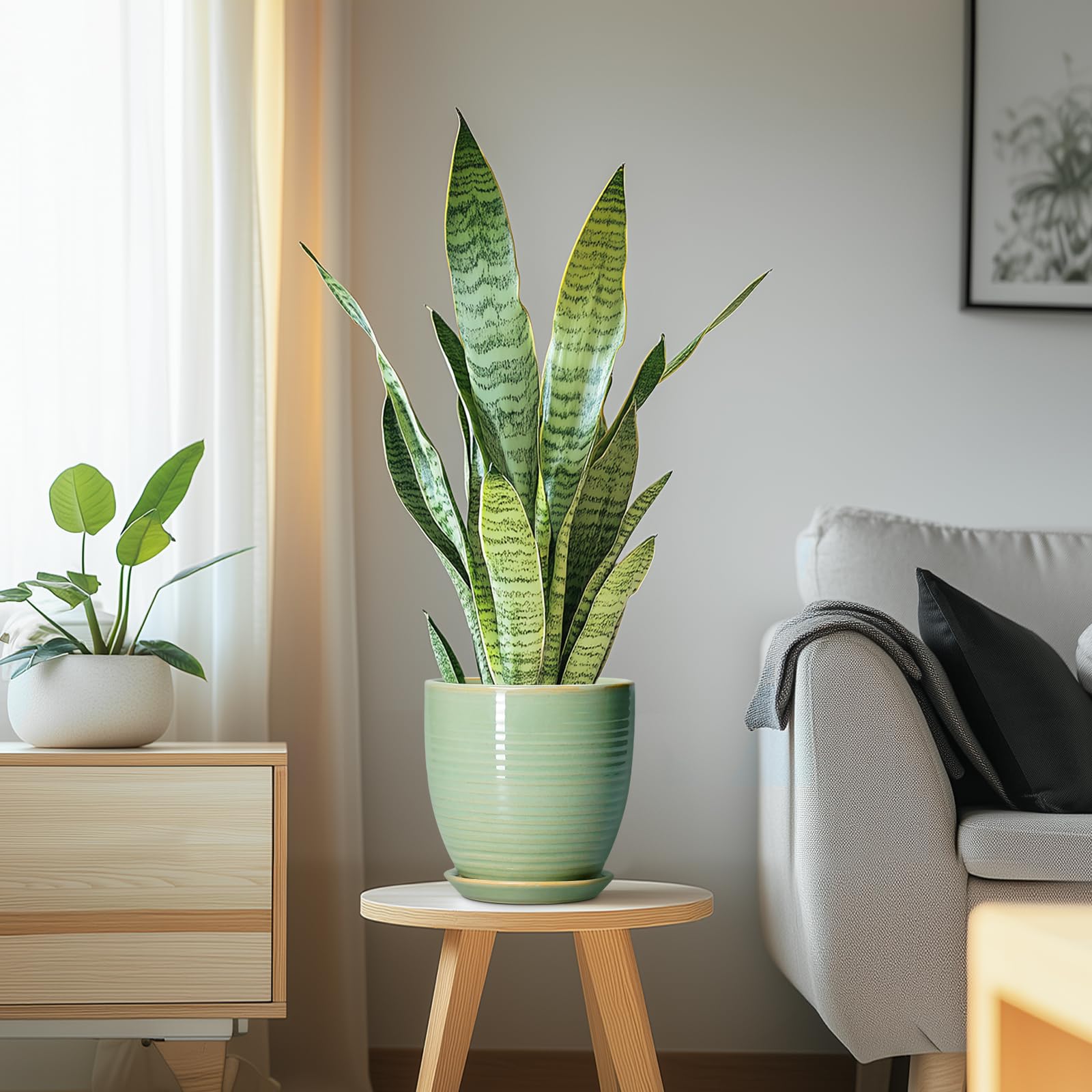 EPFamily maceta en terraza que crea ambiente acogedor
