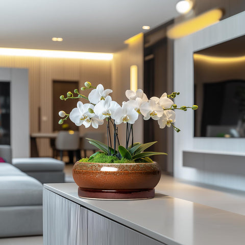 EPFamily maceta en salón con bonsái, añade estilo y verdor interior