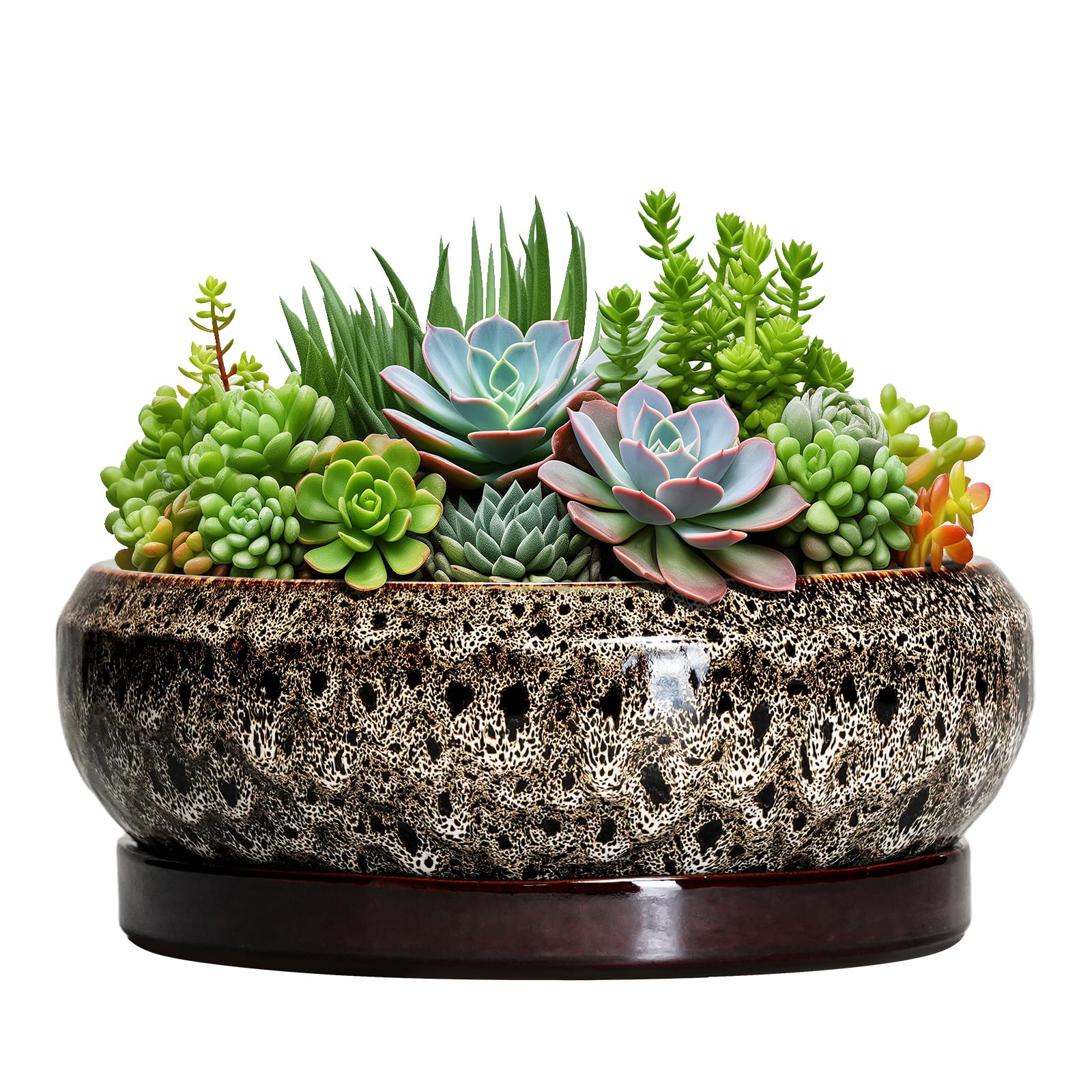 EPFamily maceta cerámica vista frontal, elegante protección para interiores
