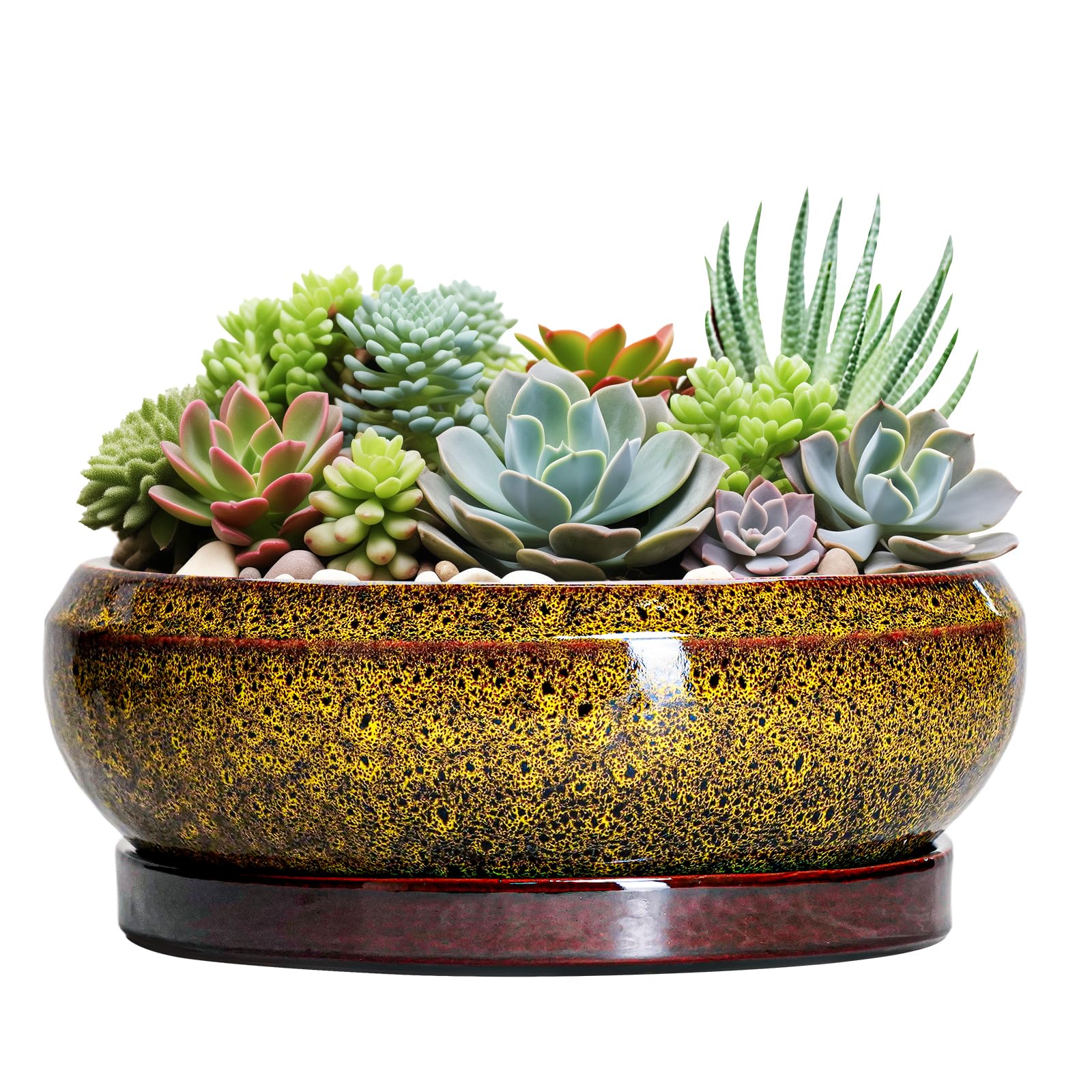 EPFamily maceta frontal amarilla, atractivo decorativo y función práctica