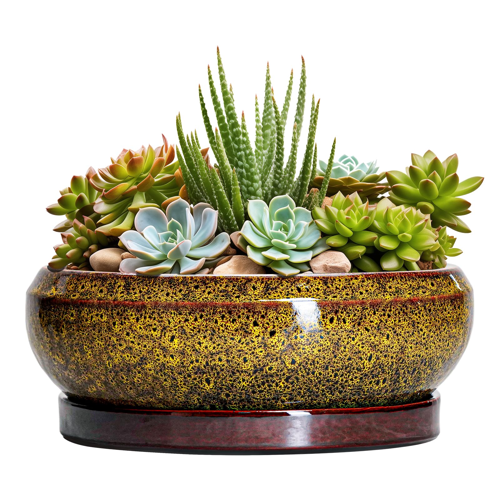 EPFamily maceta frontal amarilla elegante para decorar y proteger plantas