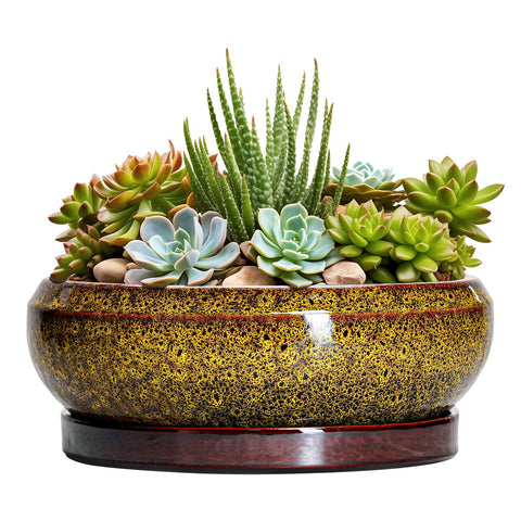 EPFamily maceta frontal amarilla elegante para decorar y proteger plantas
