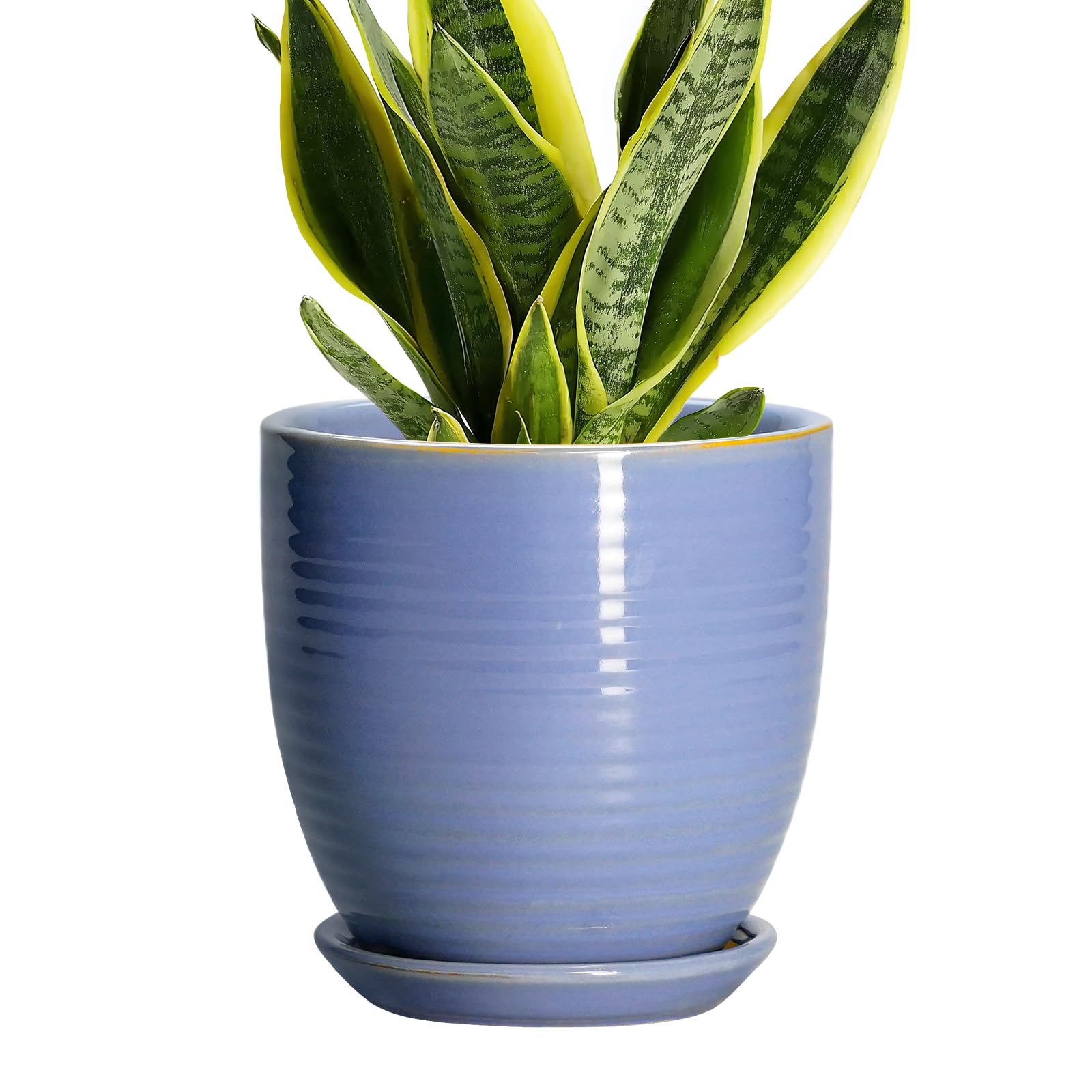 EPFamily maceta frontal azul-púrpura mostrando estilo y tamaño práctico