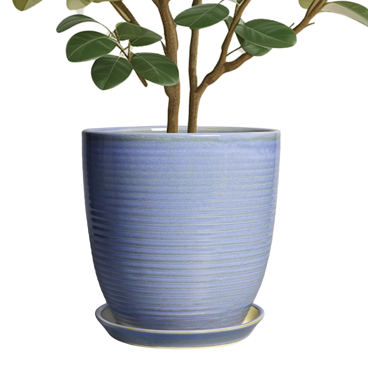 EPFamily maceta frontal azul púrpura muestra decoración