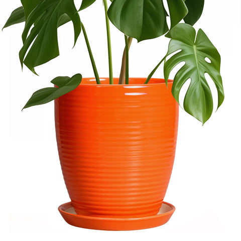 EPFamily maceta frontal naranja con diseño vidriado y aspecto decorativo