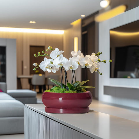 EPFamily maceta plantada con suculentas mostrando uso decorativo inmediato