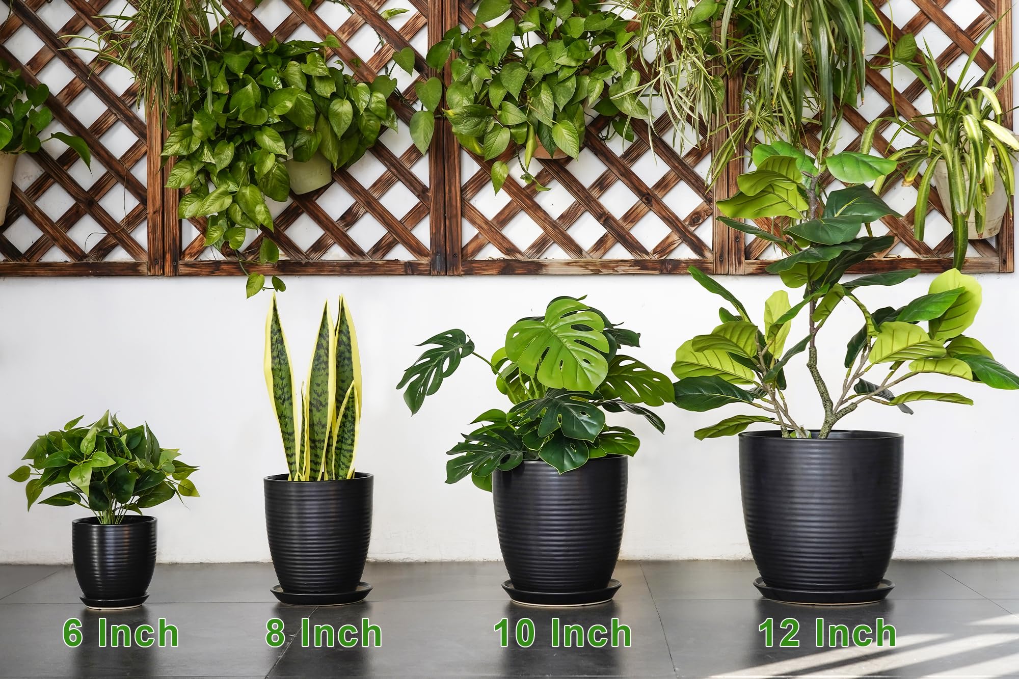 EPFamily maceta envuelta para regalo lista como obsequio para amantes de plantas