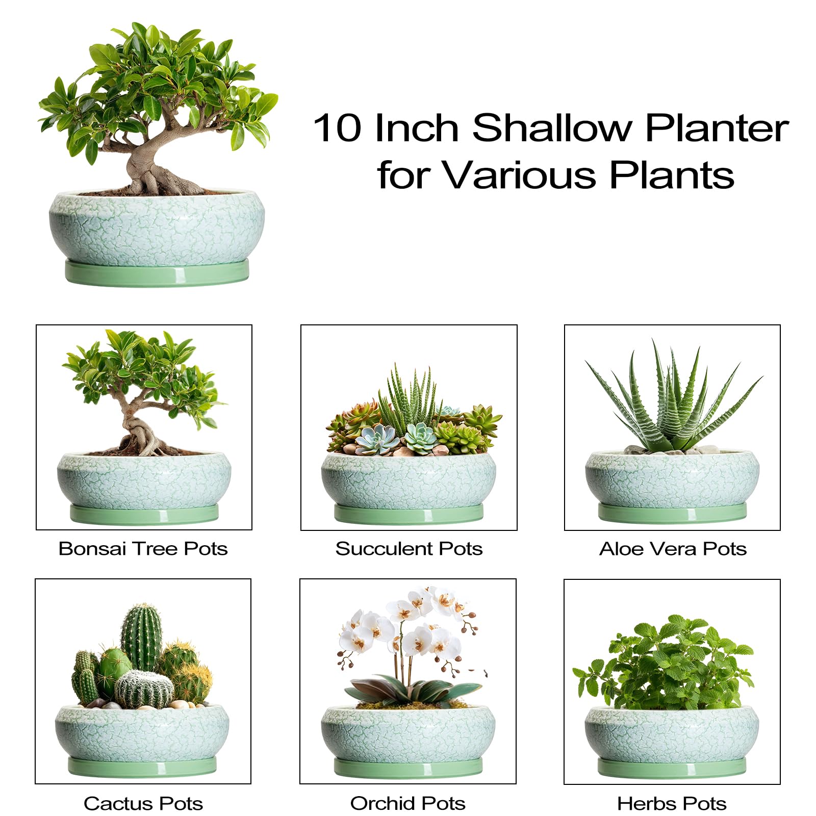 EPFamily maceta presentada como regalo ideal para amantes plantas