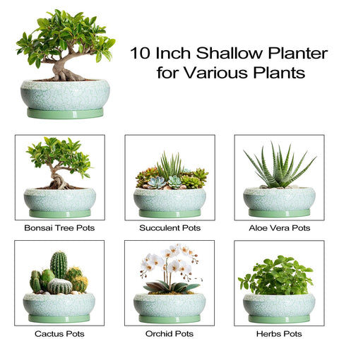 EPFamily maceta presentada como regalo ideal para amantes plantas