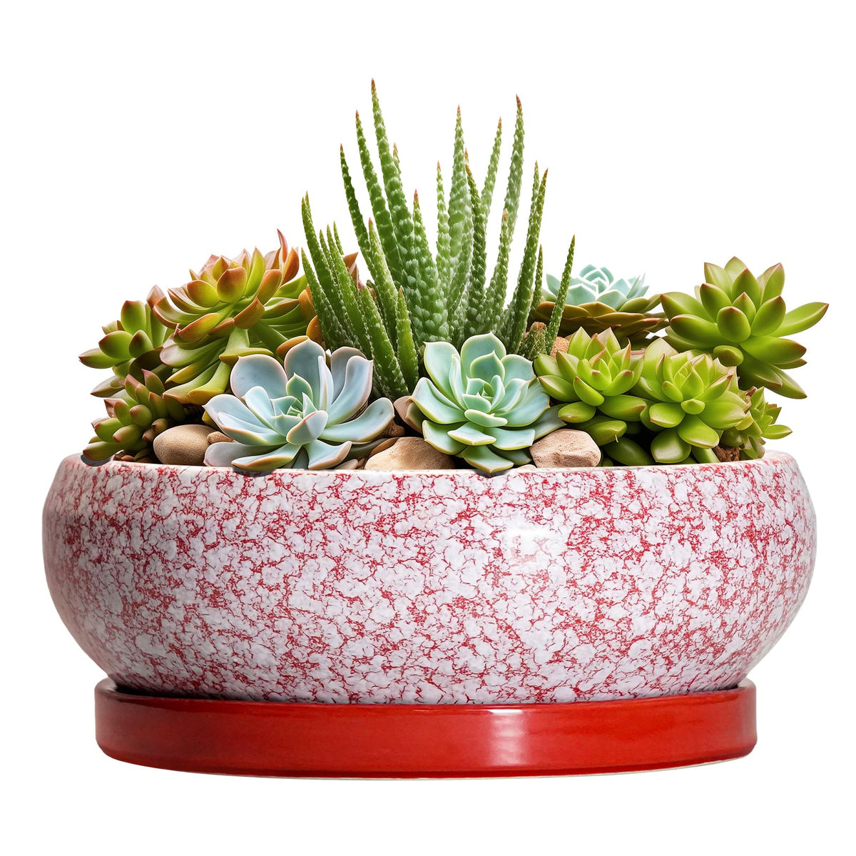 EPFamily maceta roja frontal mostrando forma y acabado elegante