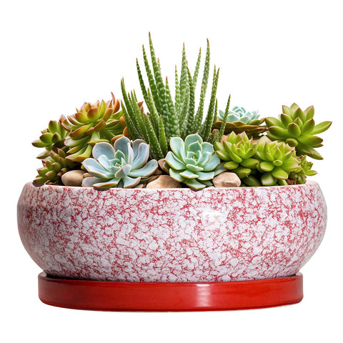 EPFamily maceta roja frontal mostrando forma y acabado elegante