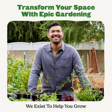 Epic Gardening demostración de agujero de extracción para sacar plántulas sin daño