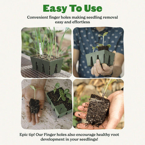 Epic Gardening bandejas en uso sembrando, ahorro de tiempo y orden
