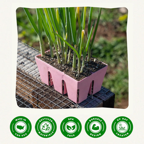 Epic Gardening bandeja junto a mano para comparar tamaño de celda y capacidad