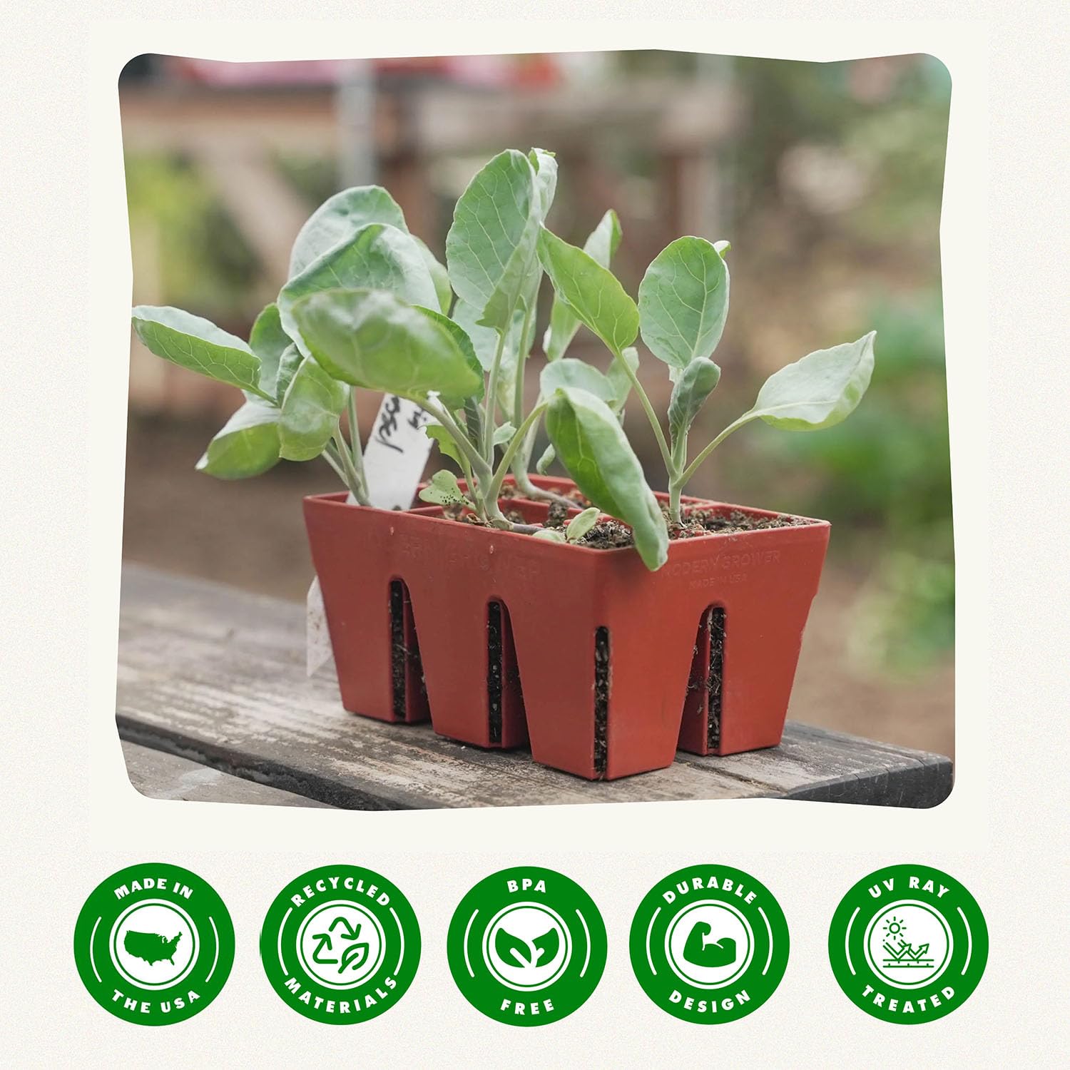 Epic Gardening juego de seis bandejas organizado y listo para sembrar