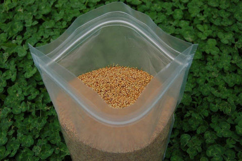 Eretz mezcla Tri-Clover cubriendo campo con flores, mejora visual evidente