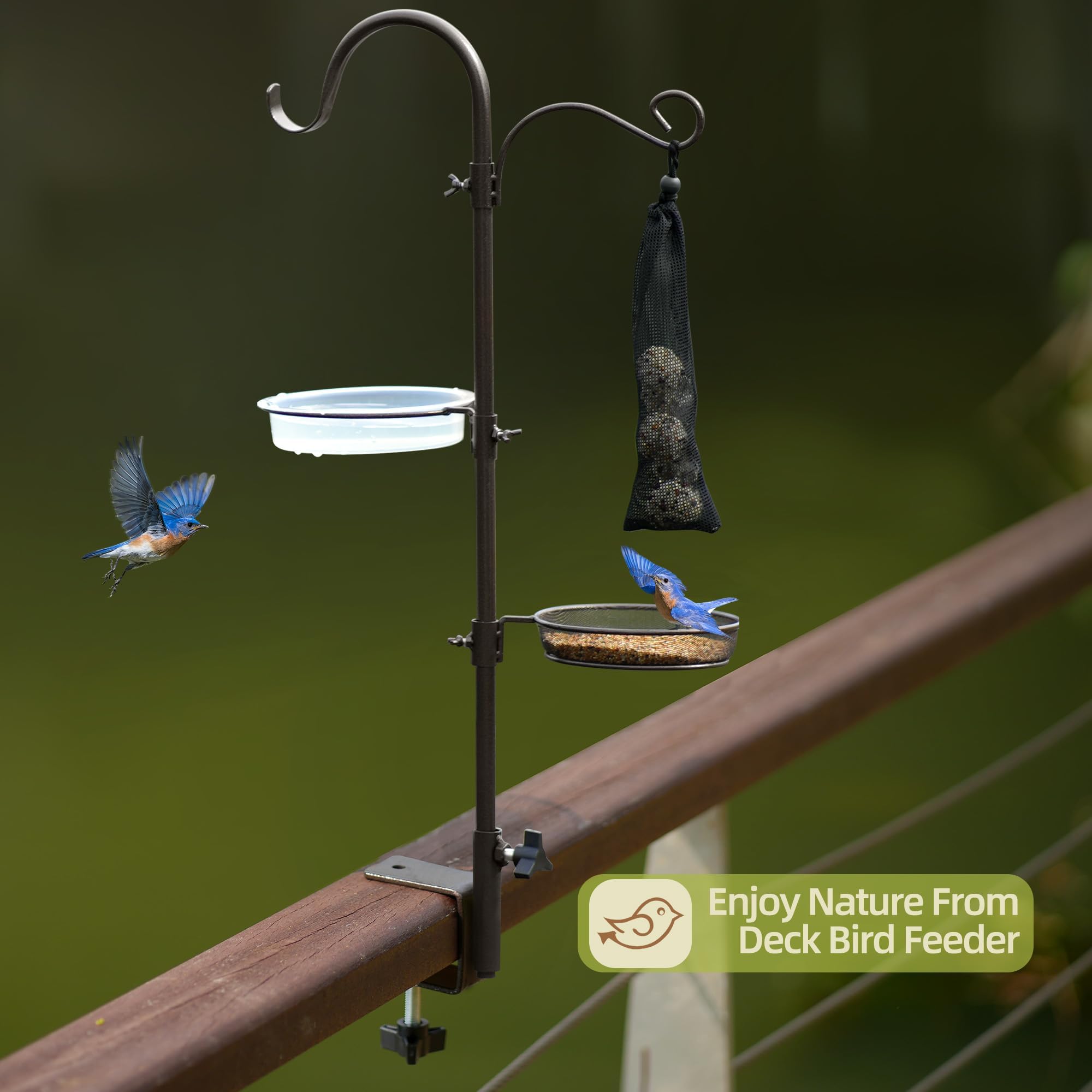 ERYTLLY ganchos superiores sosteniendo un comedero para aves grandes