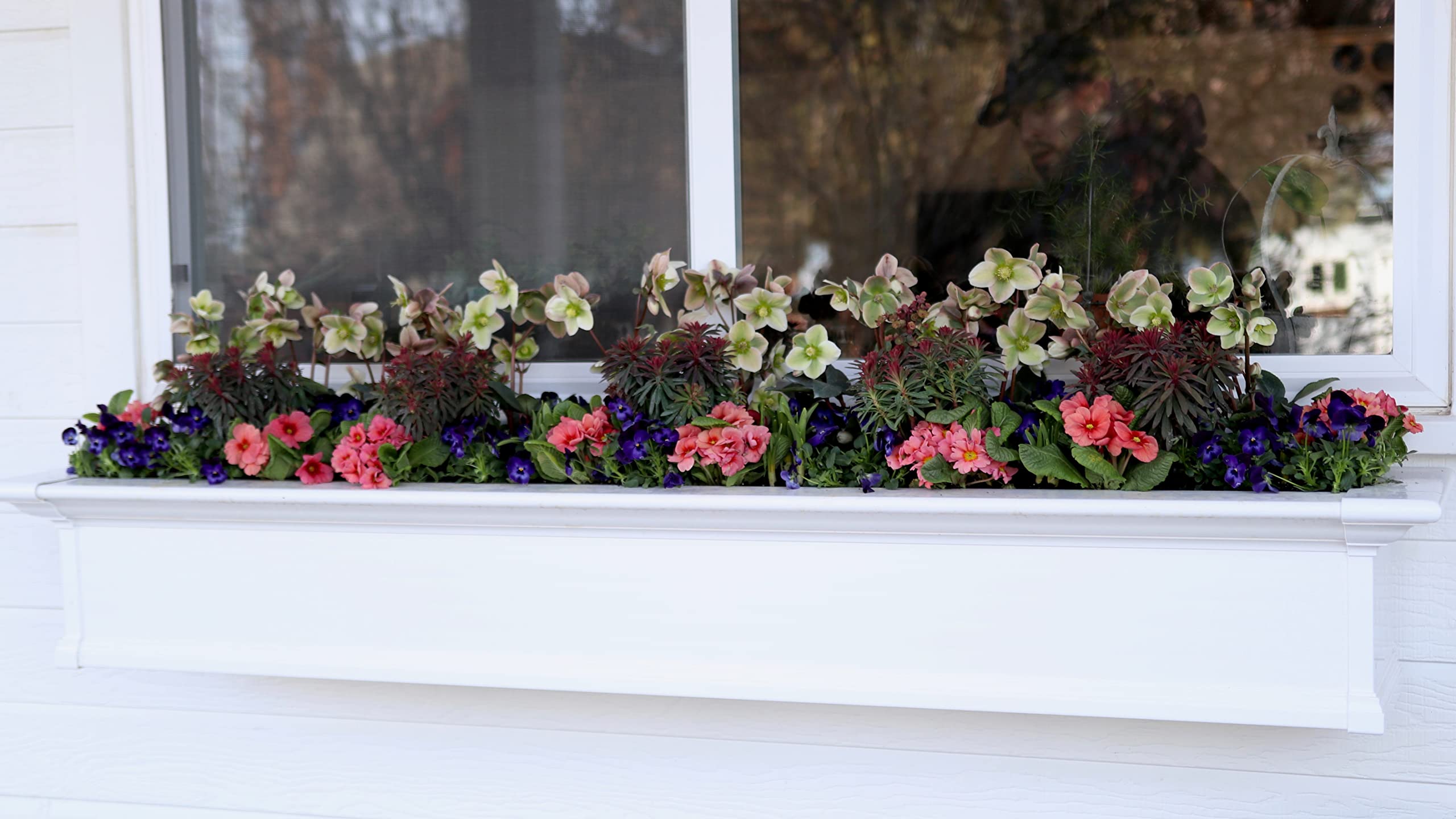 Escena de jardín con Espoma Bloom mejorando aspecto ornamental