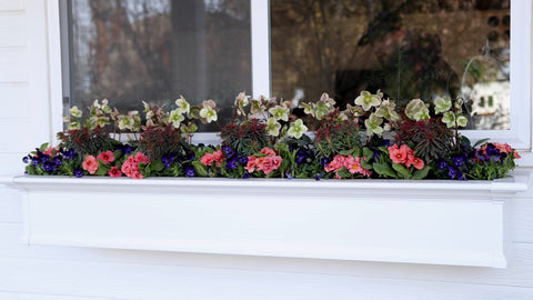 Escena de jardín con Espoma Bloom mejorando aspecto ornamental