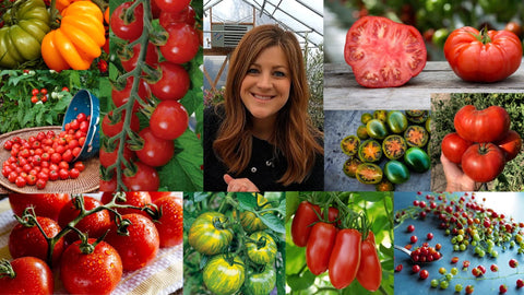 Bolsa de Espoma Tomato-tone con fondo de planta solar, fabricación sostenible en EE. UU.