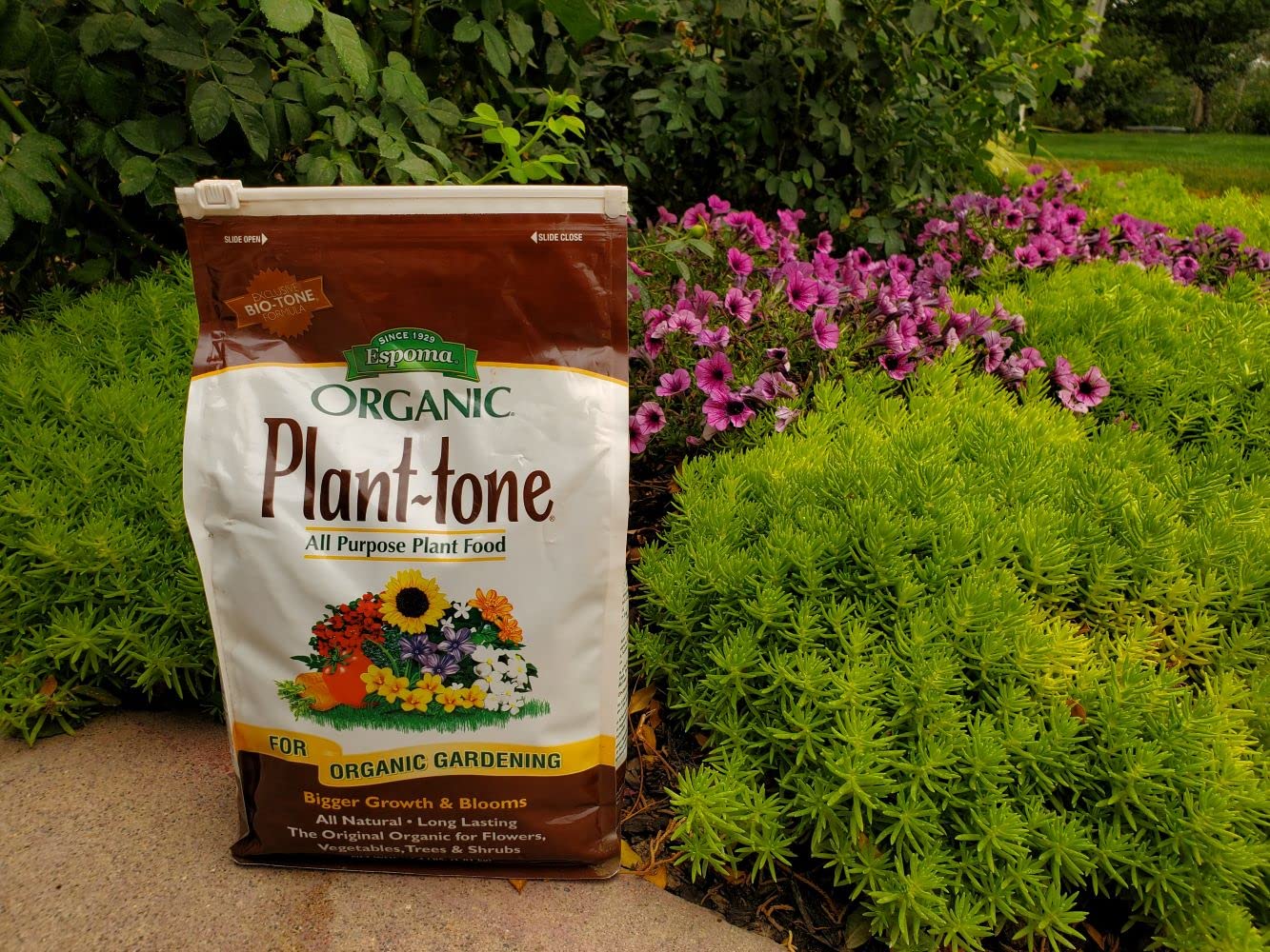 Espoma Plant-tone en jardín demostrando cultivo orgánico saludable