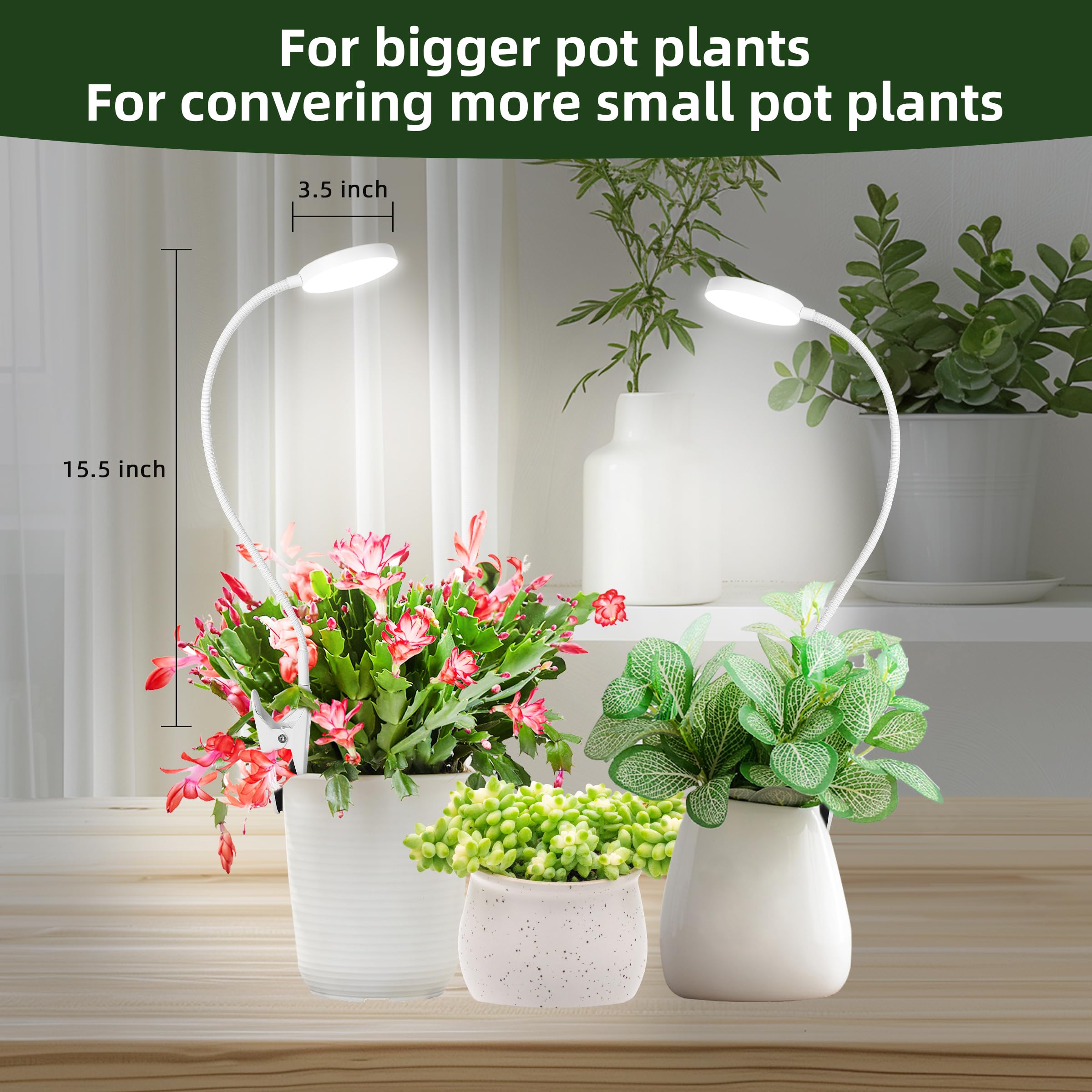 EWPJDK comparación de tamaño con mano para escala y portabilidad