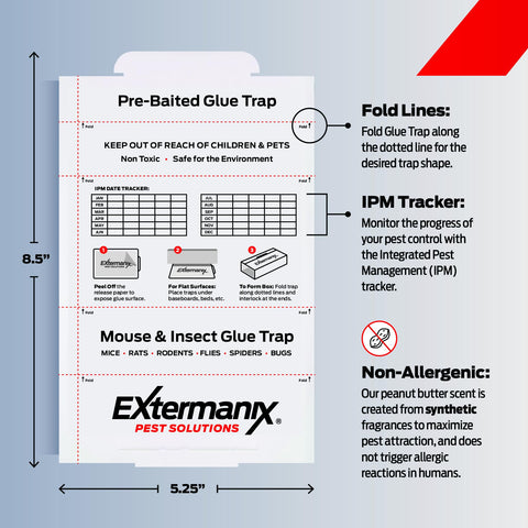 Extermanix primer plano del adhesivo mostrando textura pegajosa y alta retención