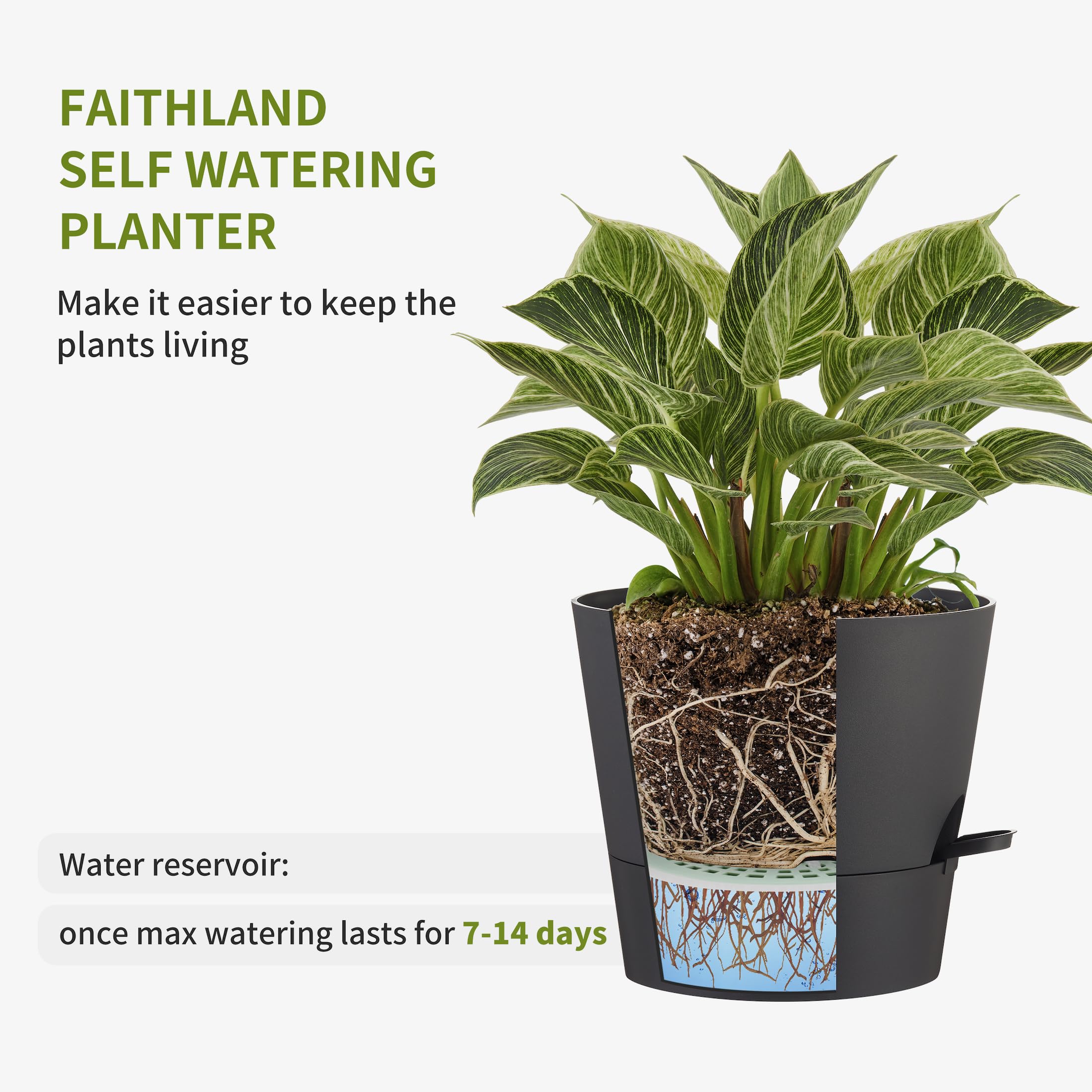 faithland maceta en uso con planta grande aporta decoración funcional