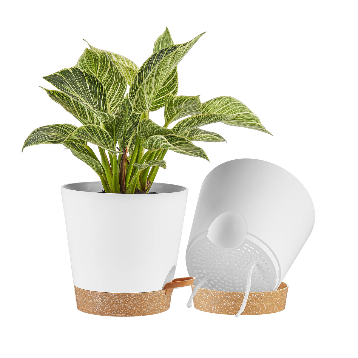FaithLand vista frontal de maceta blanca y terracota, diseño elegante y práctico