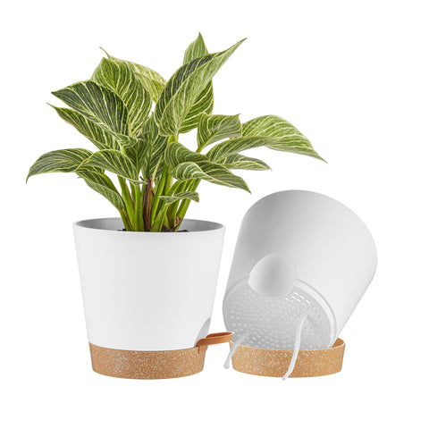 FaithLand vista frontal de maceta blanca y terracota, diseño elegante y práctico