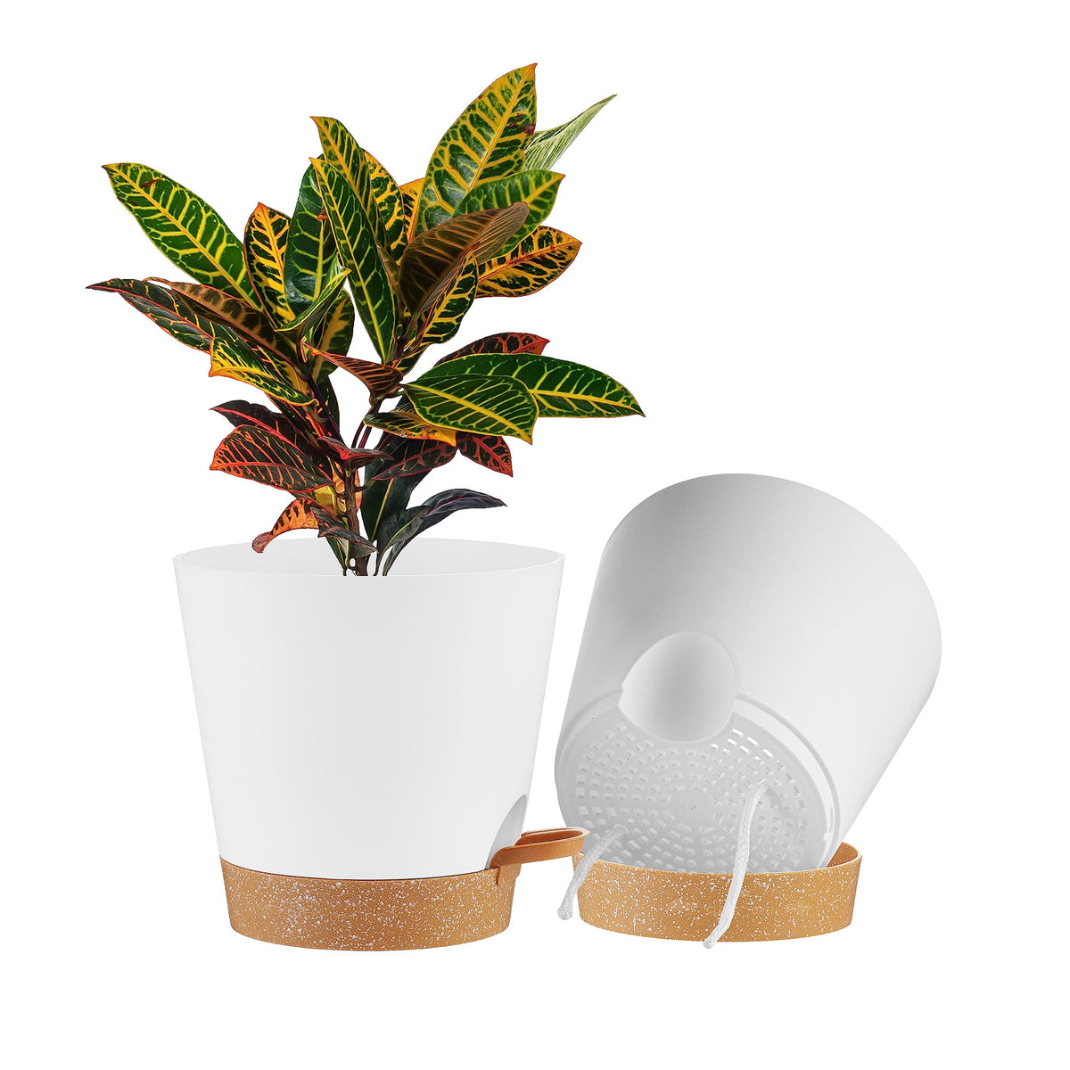 FaithLand maceta frontal blanco terracota mostrando diseño y elegancia