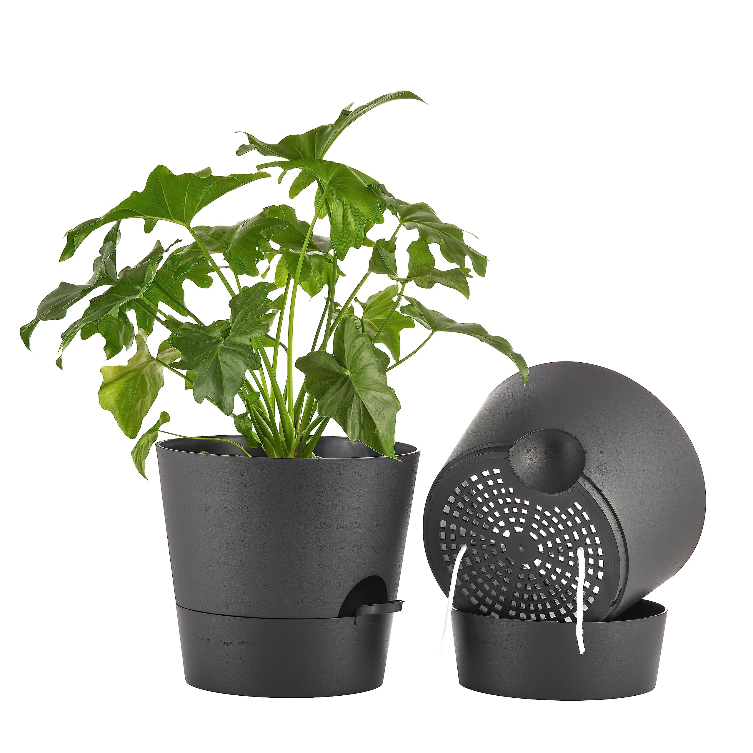 FaithLand vista frontal de maceta negra con diseño minimalista y ahorro de riego