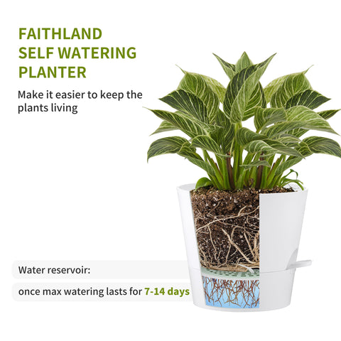 FaithLand maceta en mesa de salón demostrando uso interior y estética moderna