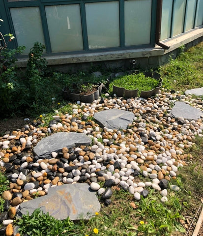 FANTIAN piedras en recipiente tras lavado listas para acuario sano