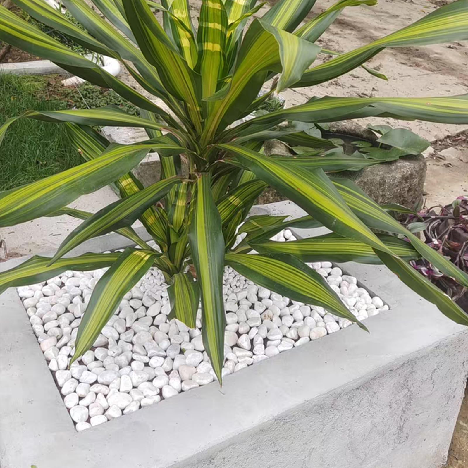FANTIAN camino pequeño de jardín, acabado decorativo y duradero