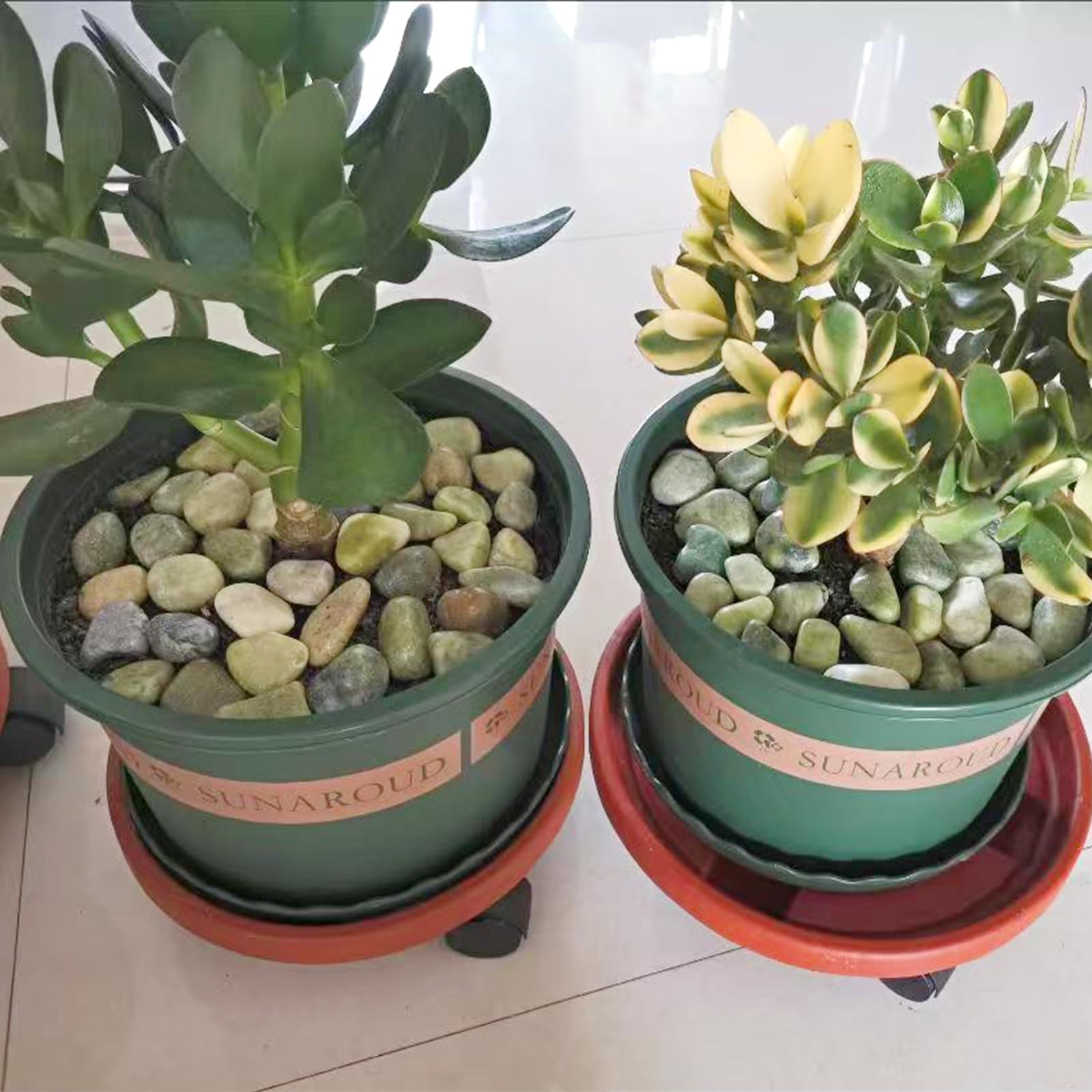 FANTIAN etiqueta del saco mostrando peso y especificaciones del producto